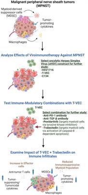 Myelomodulatory treatments augment the therapeutic benefit of oncolytic viroimmunotherapy in murine models of malignant peripheral nerve sheath tumors